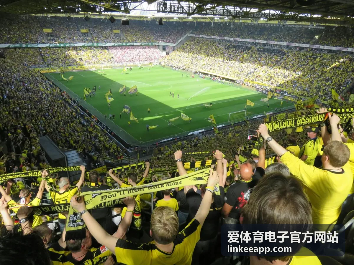 爱体育电子官方网站综合项目赛事数据封面